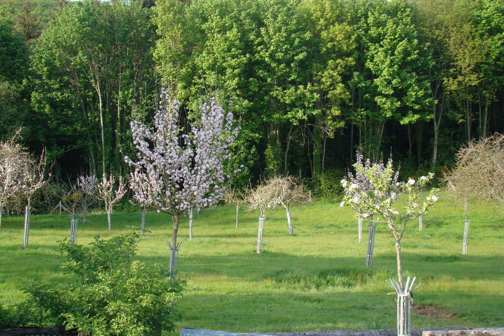 Gite De La Cour Campandre-Valcongrain ห้อง รูปภาพ